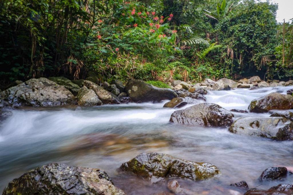 Oyo 93146 Lamin Indah Hotel Puncak Ngoại thất bức ảnh